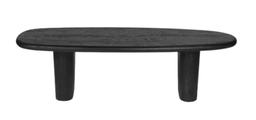 Sayulita Coffee Table